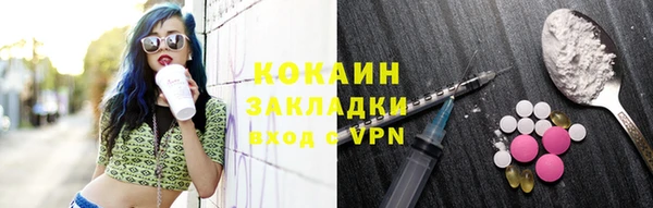 прущий лед Алзамай