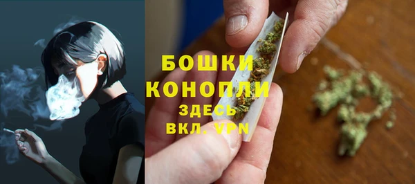 шишки Алексеевка