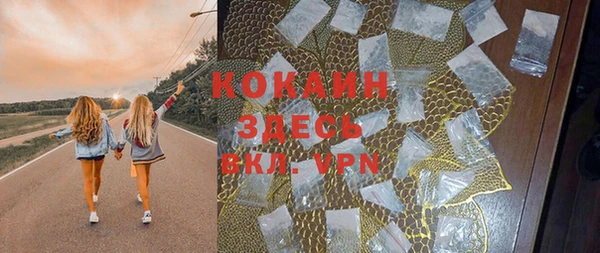 прущий лед Алзамай