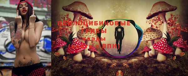 прущий лед Алзамай