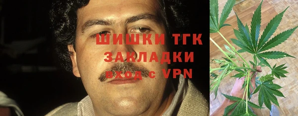 шишки Алексеевка